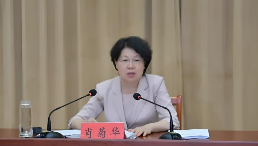 2025新澳最精准资料香港王中王,中国女保镖严月霞贴身保护泰总理,前瞻性战略落实探讨_模拟版V9.62