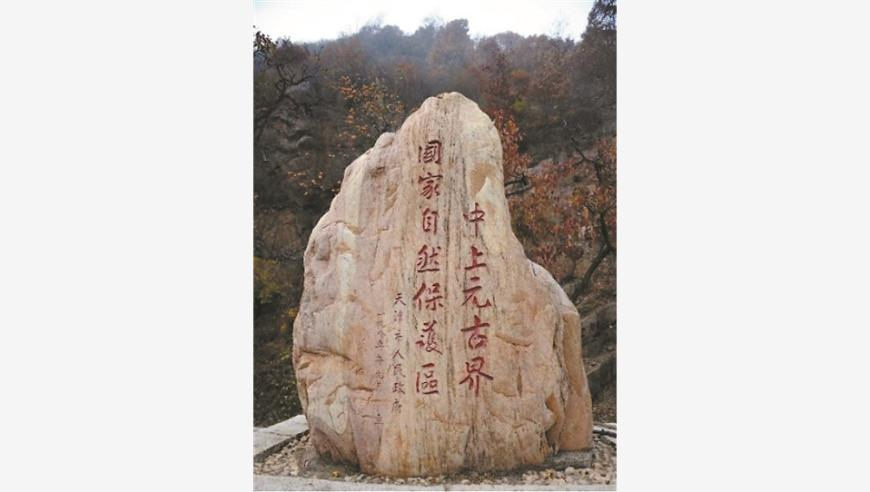 澳特开奖网澳门开奖站澳彩开奖,NIP零封RNG,创新典义解读_公测版V12.42