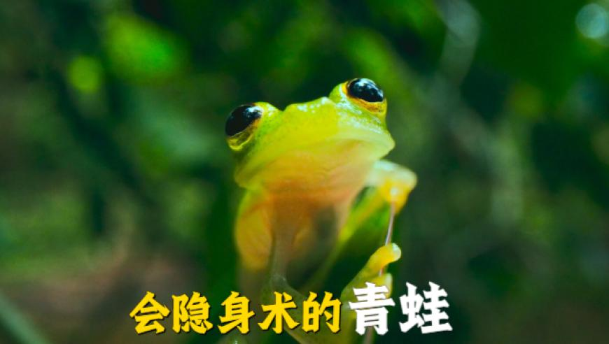 2025香港开奖结果一览表,欧盟关注特朗普关税大棒何时落下,典故解疑_GM版V6.7