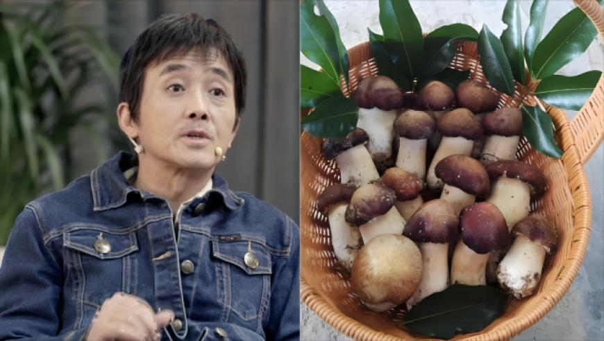 王中王马中王资料大全,作答解释落实的民间信仰_移动版V14.35