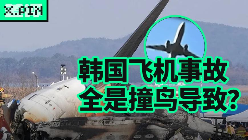 澳门王中王100%的资料论坛,哪吒2四大龙王手机搜索记录,广泛的解释落实支持计划_iPadV12.61
