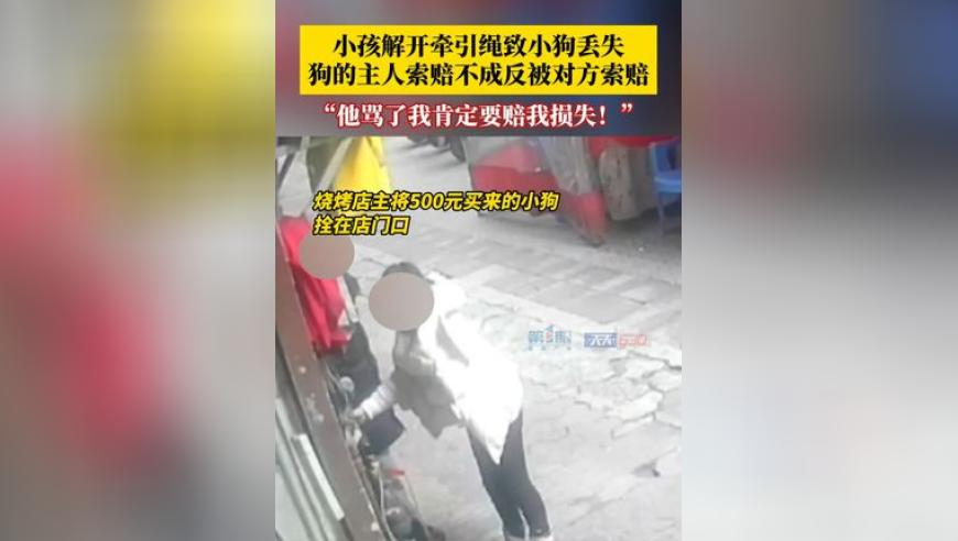 武汉蔡甸2米多的藕亮相央视元宵晚会,香港2025年六合开奖结果,精准解释落实及其象征意义_精简版V10.20